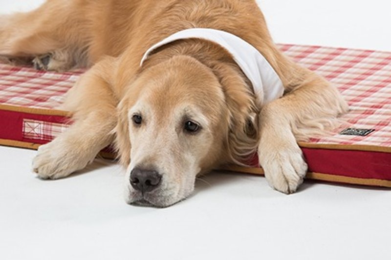 "Lifeapp" Pet pressure relief mattress L (Red Plaid) suitable for large dogs, long-term care, the elderly W110 x D70 x H5cm - ที่นอนสัตว์ - วัสดุอื่นๆ สีแดง