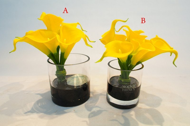 【假水人造花藝】-圓玻璃黃海芋小品(二款-A) - Plants - Other Materials Yellow