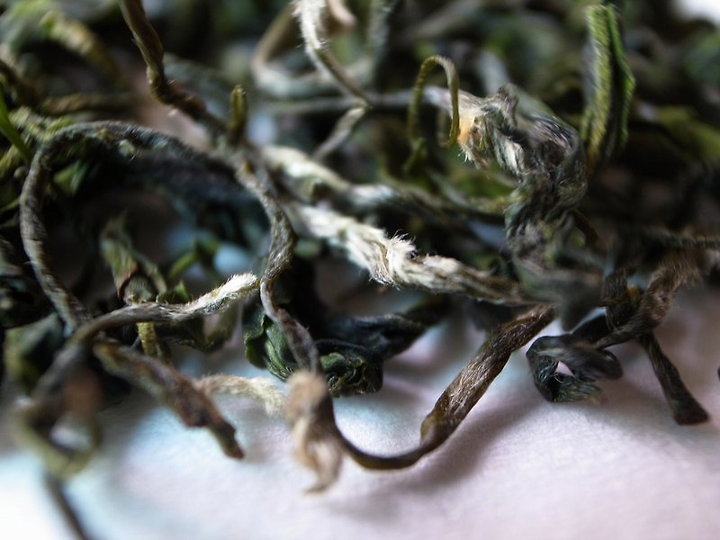 【茶思梵想茶本舖】祖傳茶農親製明前三峽碧螺春綠茶150克 - 茶葉/茶包 - 其他材質 綠色