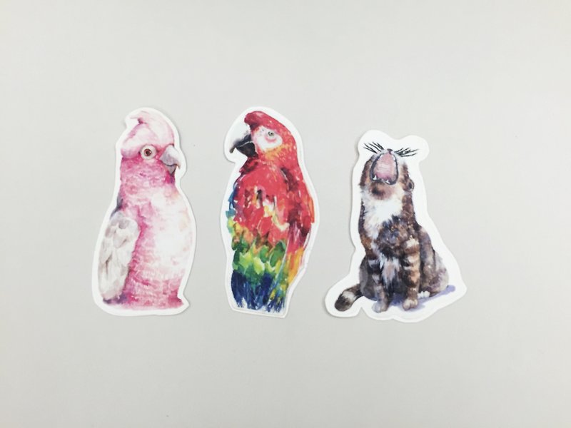 Animal stickers (large) - สติกเกอร์ - กระดาษ หลากหลายสี