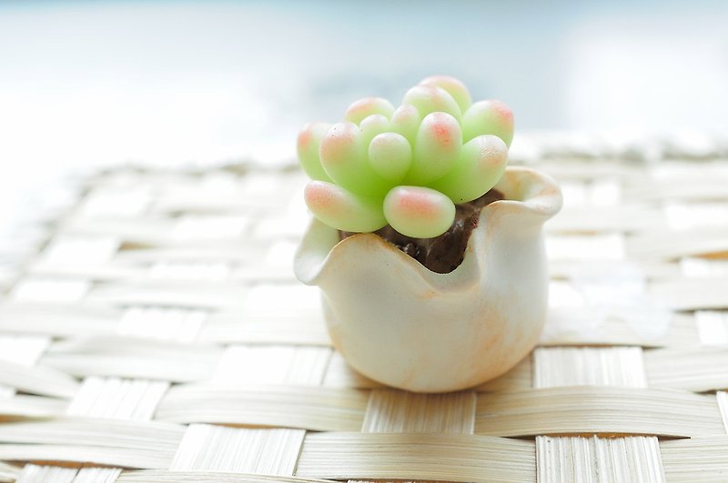 Sweet Dream☆mini clay pot with bionic succulents/star beauty - Items for Display - Clay Green