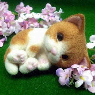 Snoozy kitten