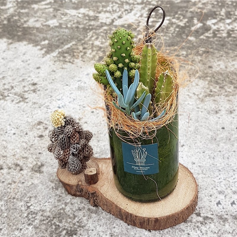 Infrequent oases in the desert ( Transparent Green with Succulents ) - ของวางตกแต่ง - ดินเหนียว หลากหลายสี