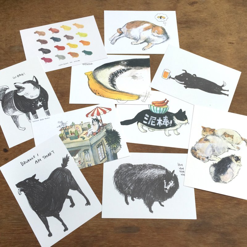 動物明信片 10張組 - 卡片/明信片 - 紙 多色