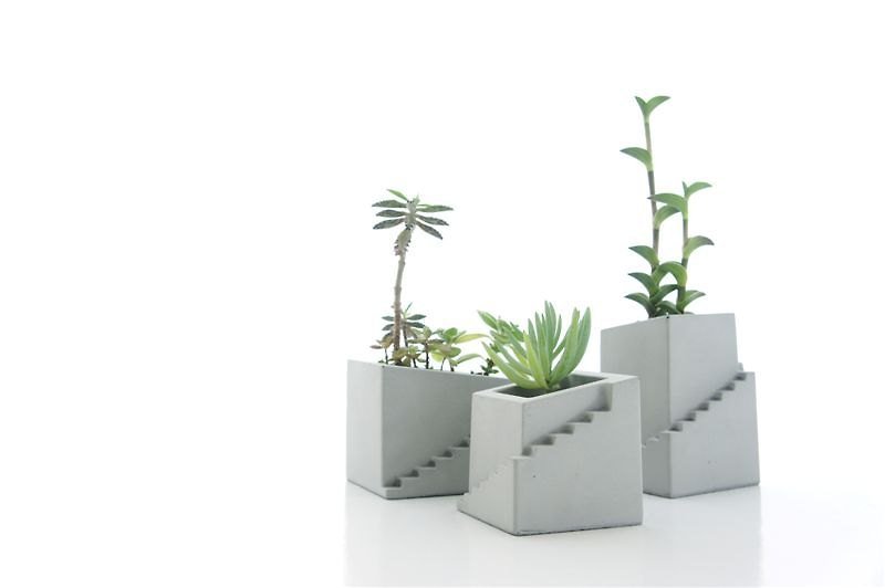 Kalki'd pro cement flower - Mediterranean series (type) / cement / Industrial wind / planting / - Pen & Pencil Holders - Cement Gray