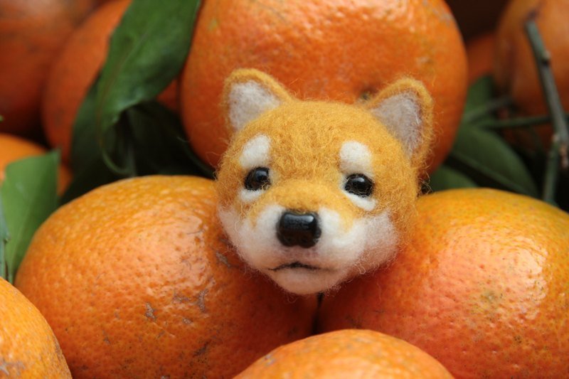 ~羊毛氈猛獸胸針系列~柴犬 - Brooches - Wool Orange