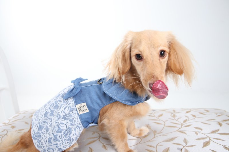 Among dog harness lace denim dress - ชุดสัตว์เลี้ยง - วัสดุอื่นๆ สีน้ำเงิน