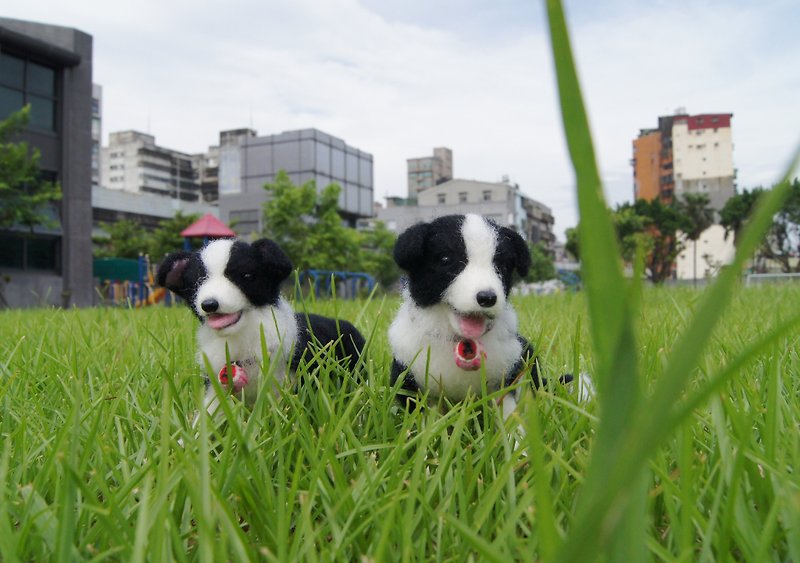[Sheep Le Duo X Wool Felt] Pet Re-enactment Border Collie Black and White Pet Doppelganger Inquiry Area~Please do not subscribe - Stuffed Dolls & Figurines - Wool Black