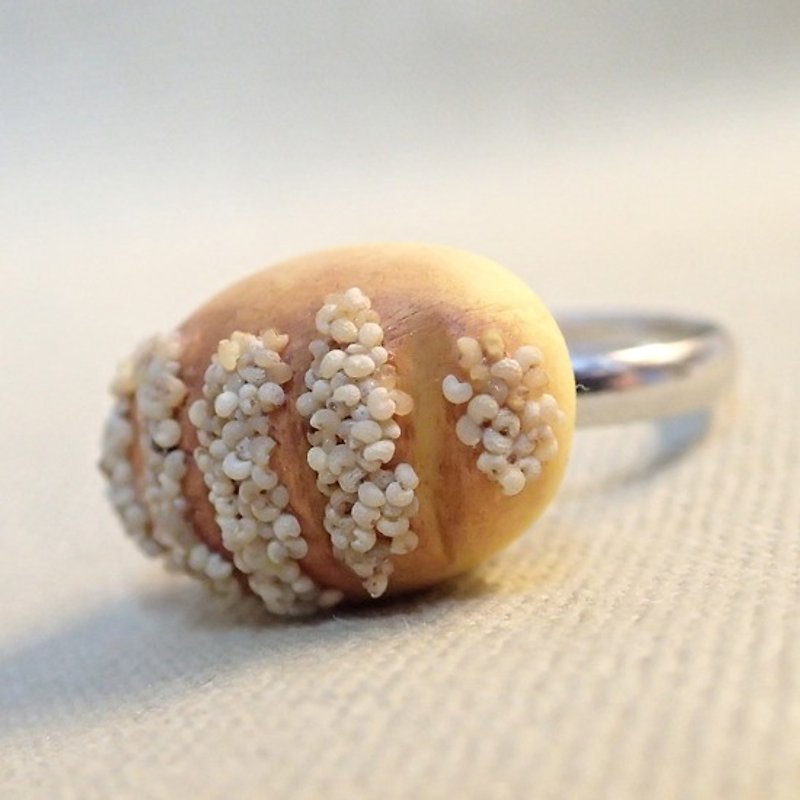 Journey back-food Series: Nuts wheat bread * Handmade miniature resin (ring) - แหวนทั่วไป - วัสดุอื่นๆ สีส้ม