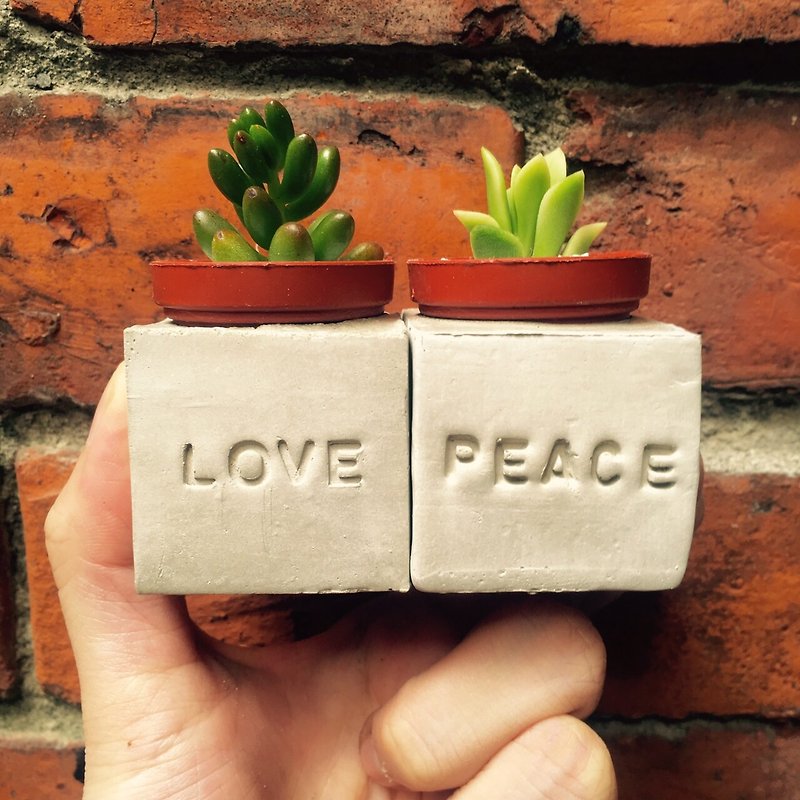 Love&Peace//Hand-made magnet potted plant set - Plants - Cement Gray
