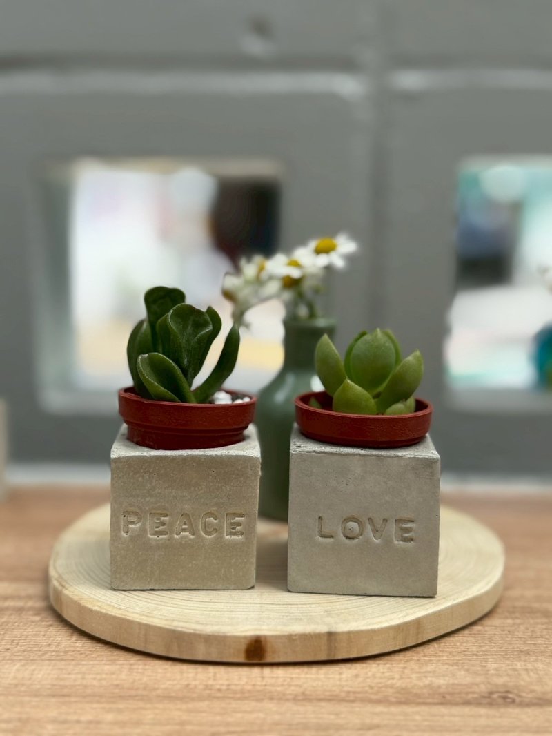 Love&Peace愛與和平//手作磁鐵盆栽組 - 盆栽/植栽 - 水泥 灰色