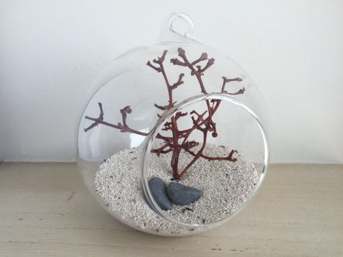 pure-nature 純自然 DIY 秋意 玻璃球 盆栽 送禮 禪 zen