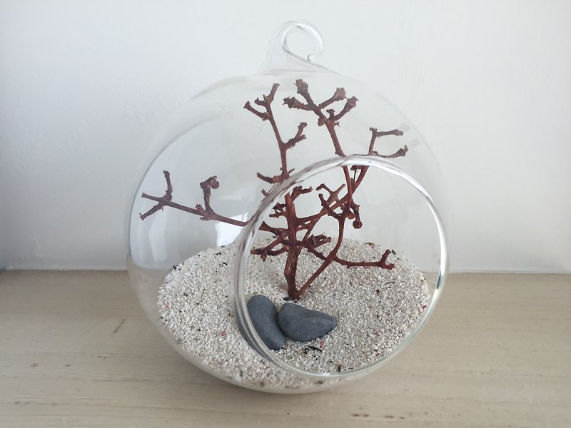 Pure natural DIY autumn glass ball potted plant gift zen - ของวางตกแต่ง - วัสดุอื่นๆ สีนำ้ตาล