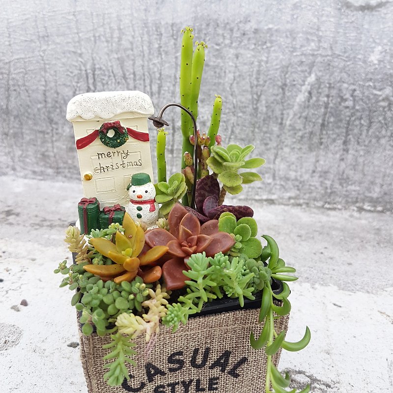 聖誕雪人繽紛好禮 多肉組盆 (Christmas colourful snowman) - 植栽/盆栽 - 防水材質 綠色