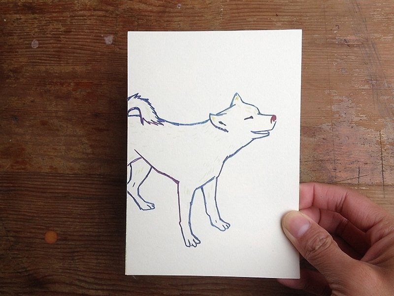 習慣明信片：：我們的小白狗 - 卡片/明信片 - 紙 白色
