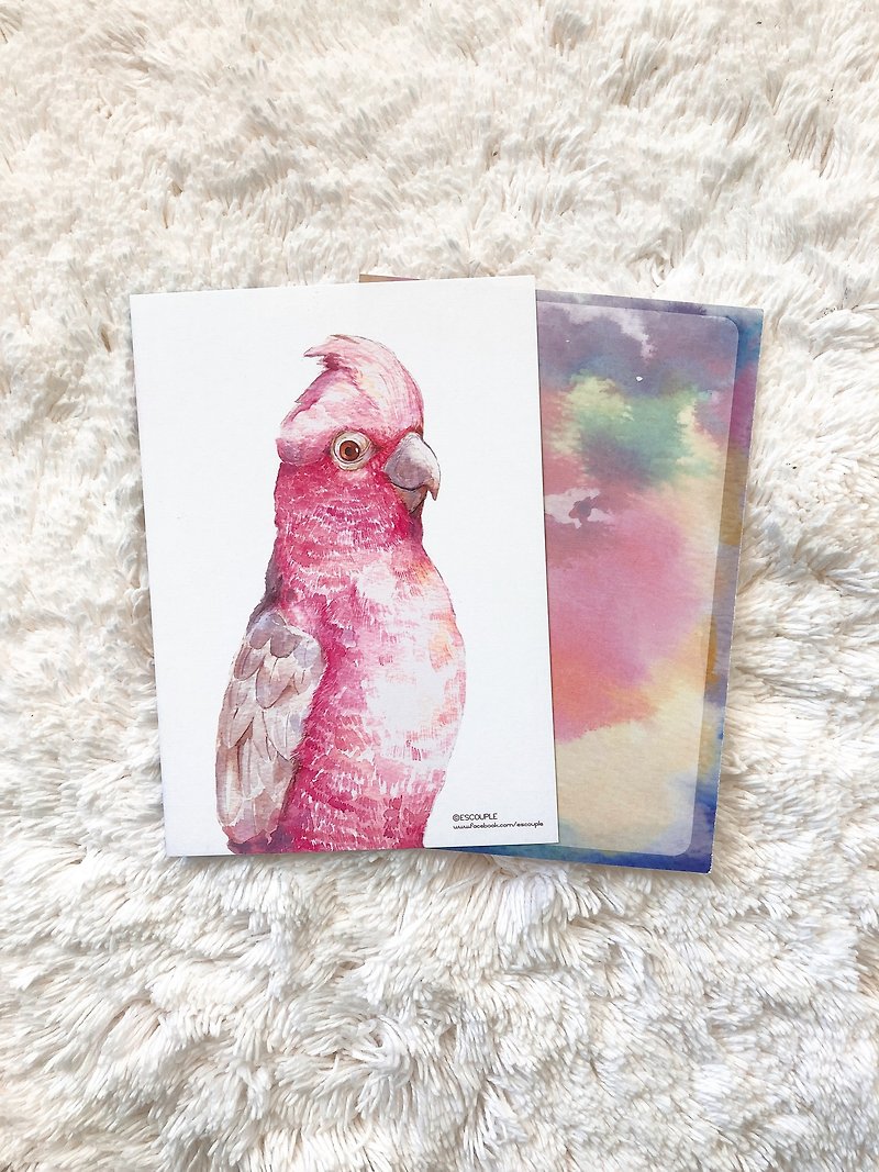 Animal Postcard Cockatoo - การ์ด/โปสการ์ด - กระดาษ สึชมพู
