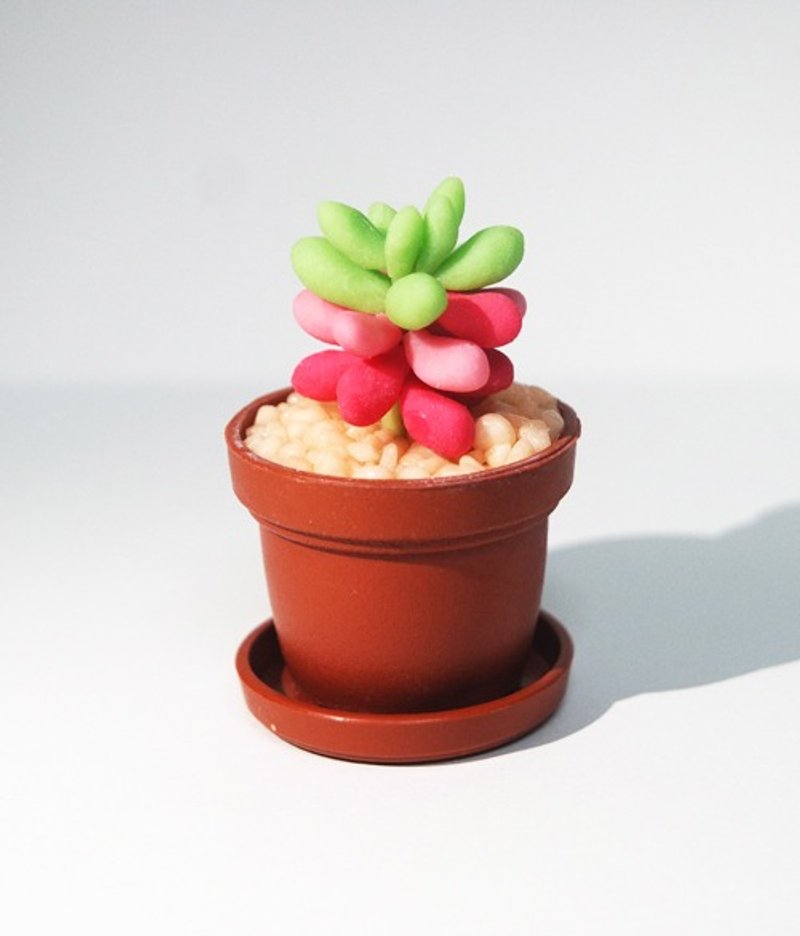 擬真多肉植物小盆栽 - 擺飾/家飾品 - 黏土 