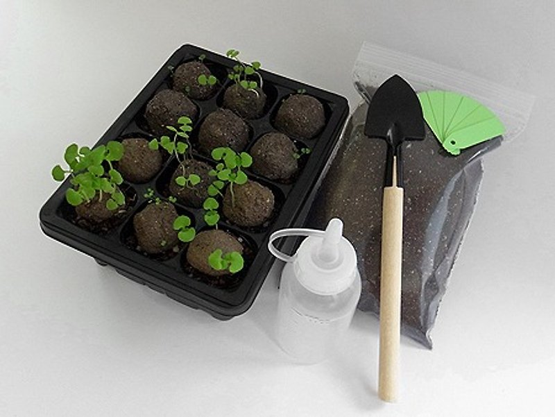 [Mini Vanilla balls - Master Gardener group to develop] - Plants - Other Materials 