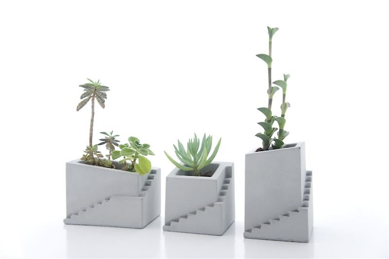 KALKI'D pro cement flower - Mediterranean (high long n) Three enrollment / cement / Industrial wind / planting / - Plants - Cement Gray