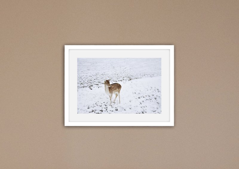 「攝影」鹿 (含框販售) - 掛牆畫/海報 - 紙 白色