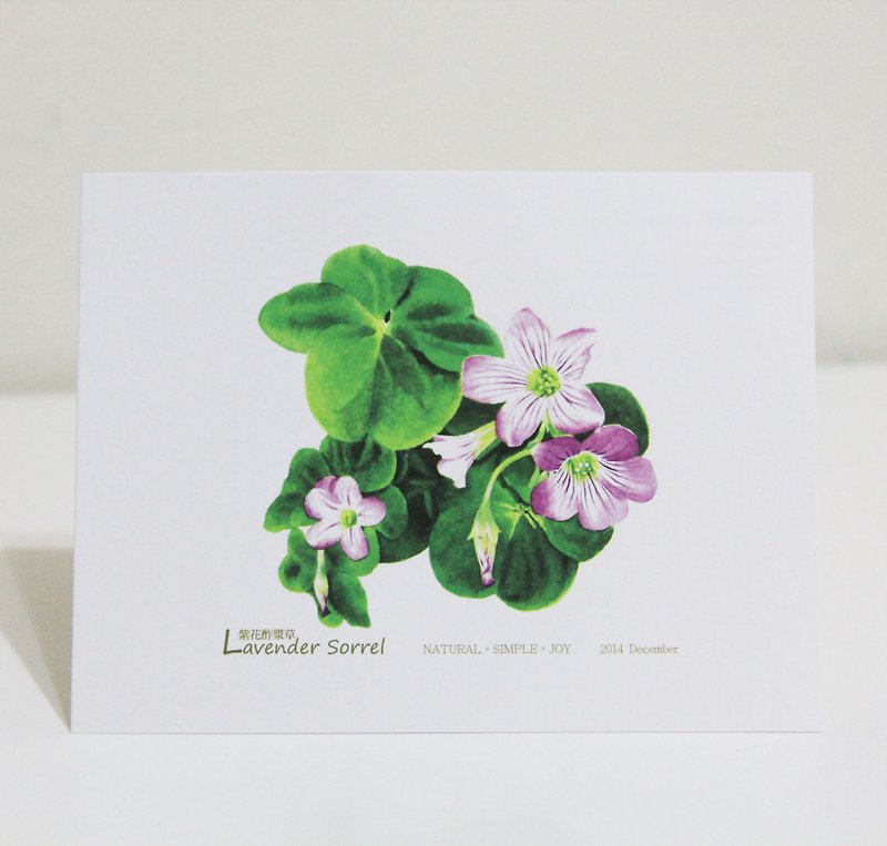 Xiang - NSJ Hand-painted postcards Medicago sativa - Cards & Postcards - Paper Multicolor