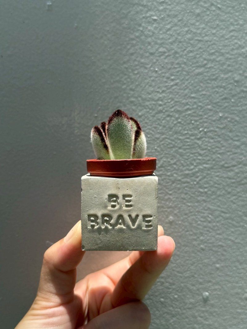Be Brave~!! （勇敢面對）多肉磁鐵盆栽 - 盆栽/植栽 - 水泥 灰色