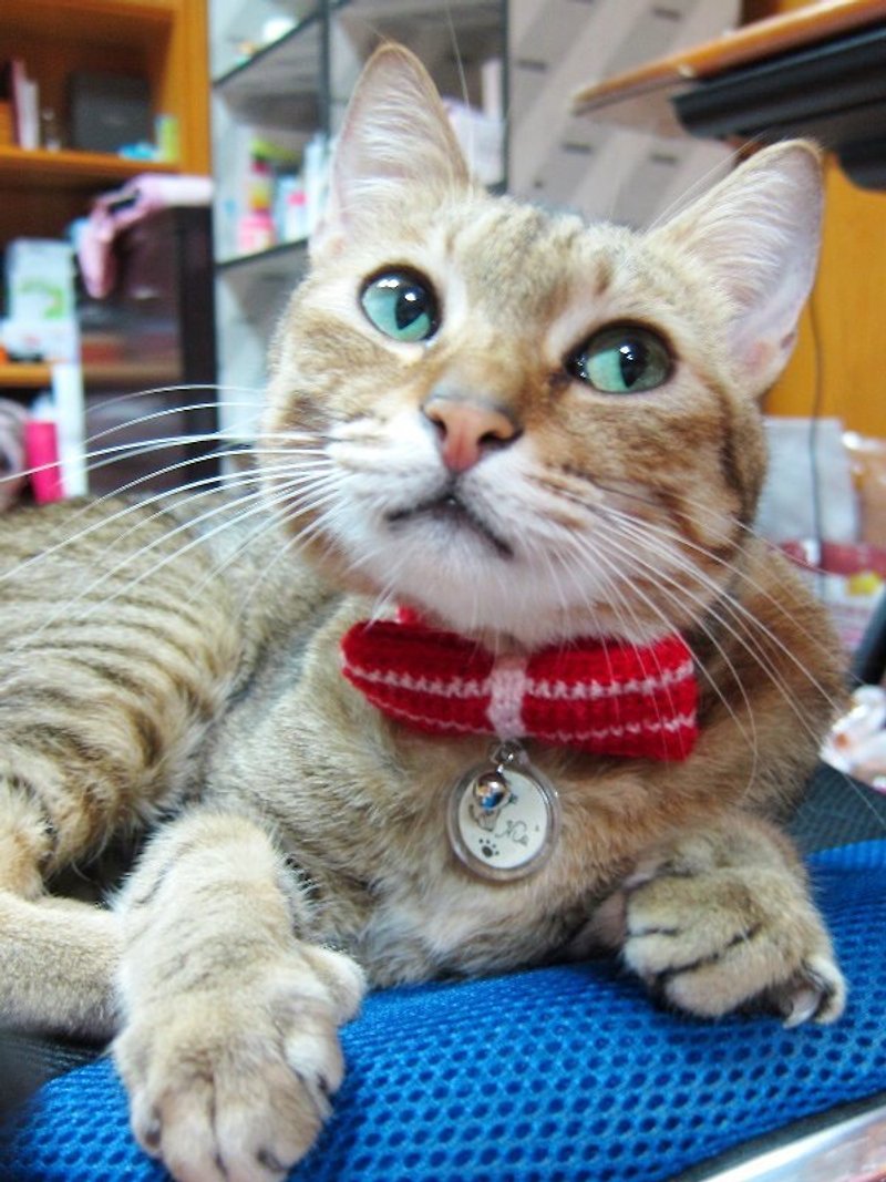Red Striped Bow Yarn Cat Collar - ปลอกคอ - อะคริลิค สีแดง