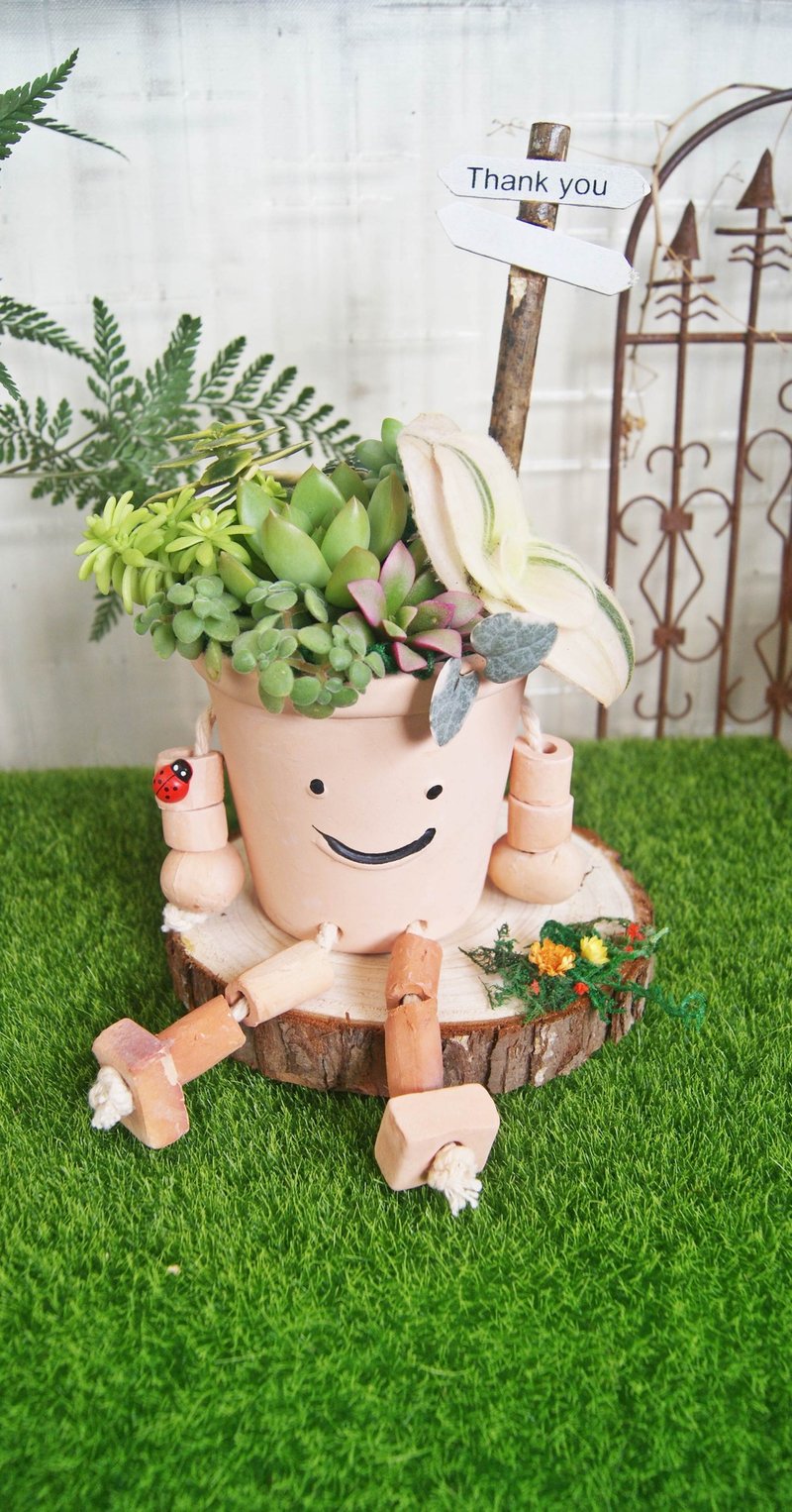 Cute robot X fleshy cup planting - Plants - Plants & Flowers 