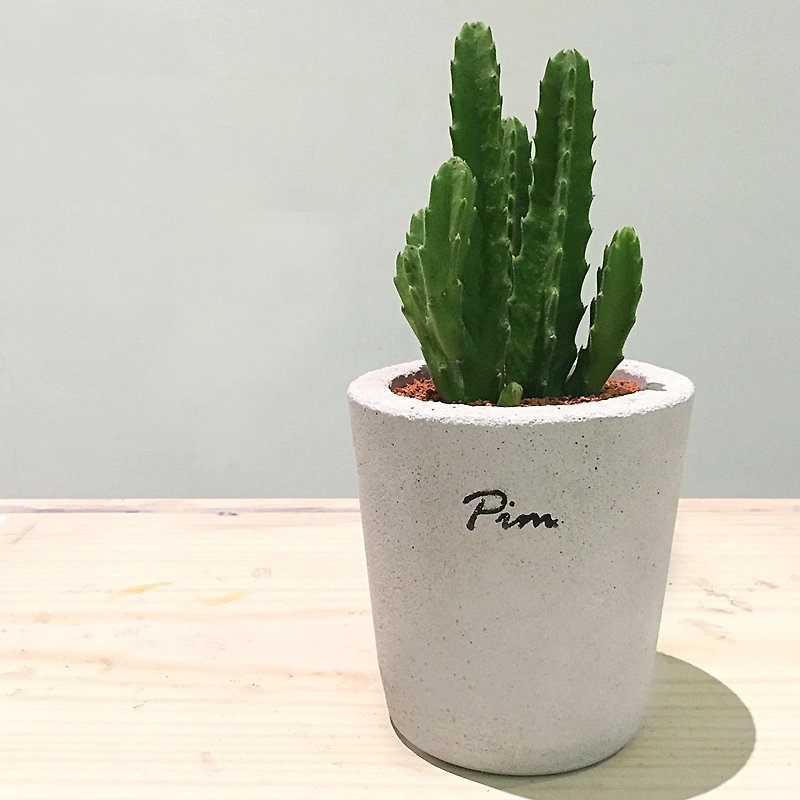 [Flora and fauna] handmade cement pots. Number three [excluding plant] - Plants - Cement Gray