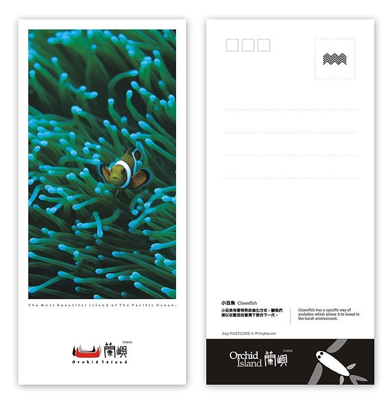Orchid postcard - Ocean series (straight) - clownfish - Cards & Postcards - Paper 