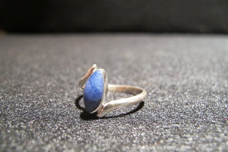 Blue COCA leaves-青金石950銀戒 - แหวนทั่วไป - วัสดุอื่นๆ สีน้ำเงิน