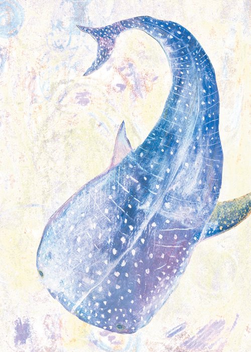 whale shark / illustration postcards, cards