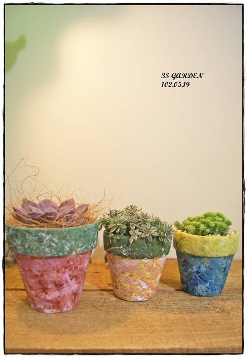 Painting art ceramic pots fleshy planting X - Other - Plants & Flowers 