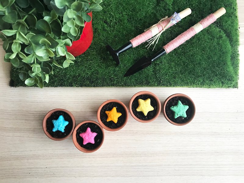Star Grows Vanilla Star Seed Ball Planting Pot Set Birthday Gift/Gift/Graduation Gift/Miss Moon Ceremony/Wedding Small Things - Plants - Plants & Flowers Multicolor