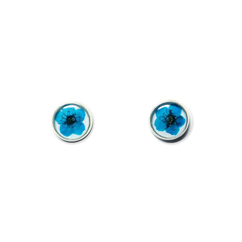 Classic Pressed Flower Earrings (經典押花耳環) - 耳環/耳夾 - 其他金屬 藍色