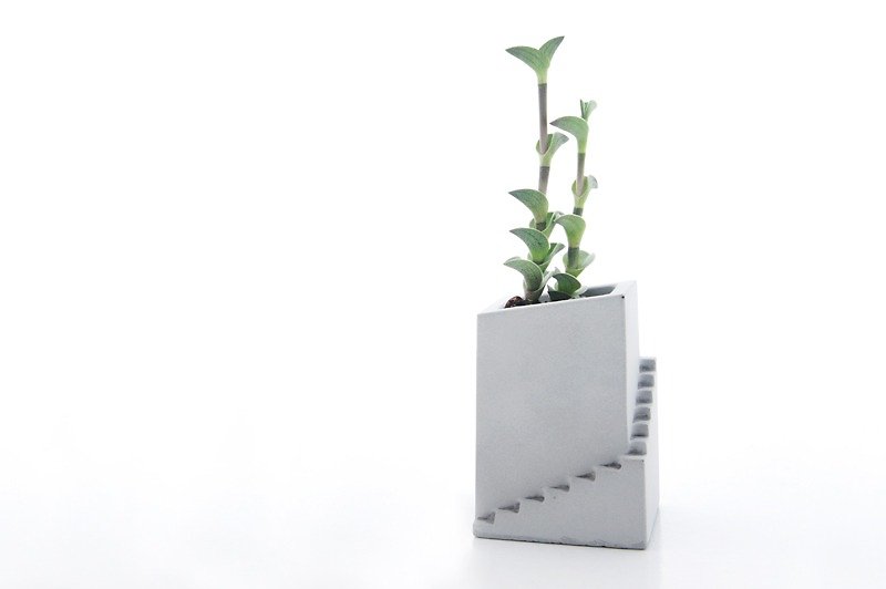 KALKI'D pro-cement flower - Mediterranean (high) Last batch / cement / industrial wind / planting / - Plants - Cement Gray