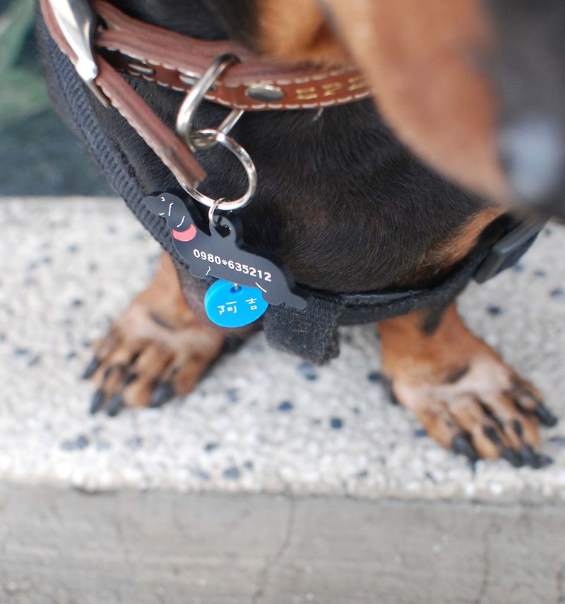 Dachshund special tag/long-haired short-haired style - Collars & Leashes - Acrylic Black