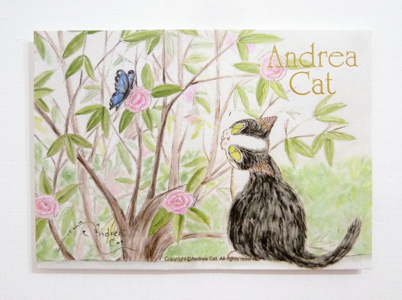 Andrea Cat-富麗街的貓成貓明信片-布魯斯與蝴蝶 - 卡片/明信片 - 紙 多色