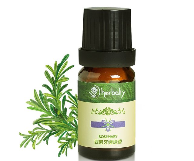 Pure natural single essential oil-Spanish rosemary [the first choice for  non-toxic fragrance]-50% off for 3 pieces - Shop herbally Fragrances -  Pinkoi