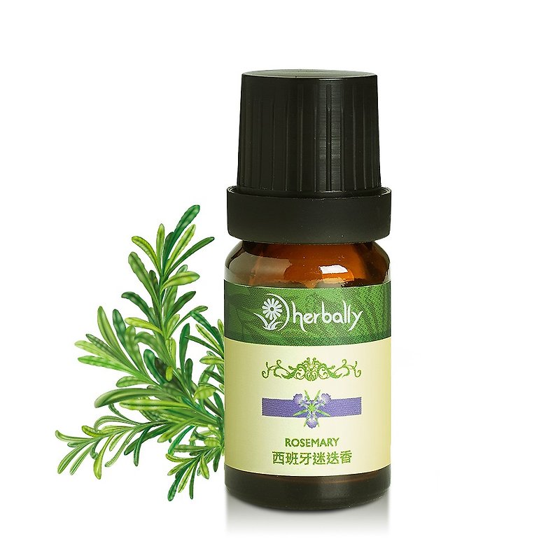 Pure natural single essential oil-Spanish rosemary [the first choice for non-toxic fragrance]-Mother's Day gift box - Fragrances - Other Materials Green