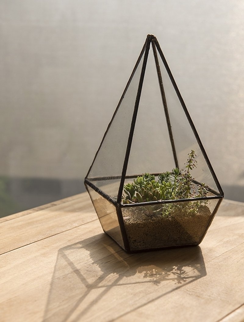 Glasshouse square pyramidal / meaty / pot / - Plants - Glass 