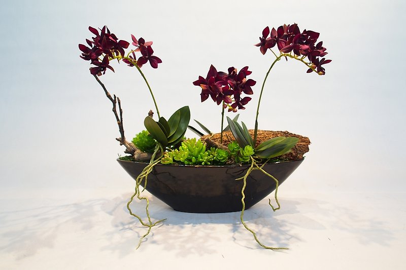 人造花飾-船型迷你紅蝴蝶蘭花飾 - 観葉植物 - その他の素材 レッド