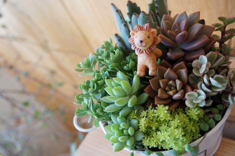 (Potted plant) Avignon (Succulent combination with a small animal flower insert) can be customized - Plants - Other Metals Green