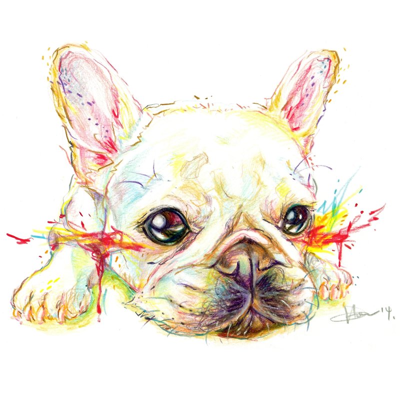 12"x16"色鉛筆寵物肖像訂製，耳朵親專屬 - Other - Paper Multicolor