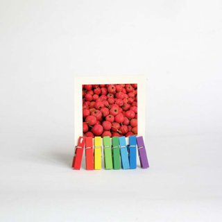 2017 Mini Desk Calendar with Rainbow octopus Stand, stocking stuffer