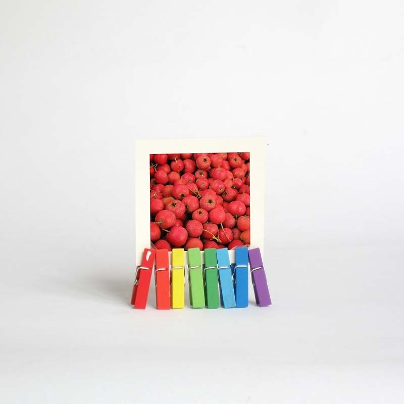 2017 Mini Desk Calendar with Rainbow octopus Stand, stocking stuffer - Calendars - Paper Multicolor