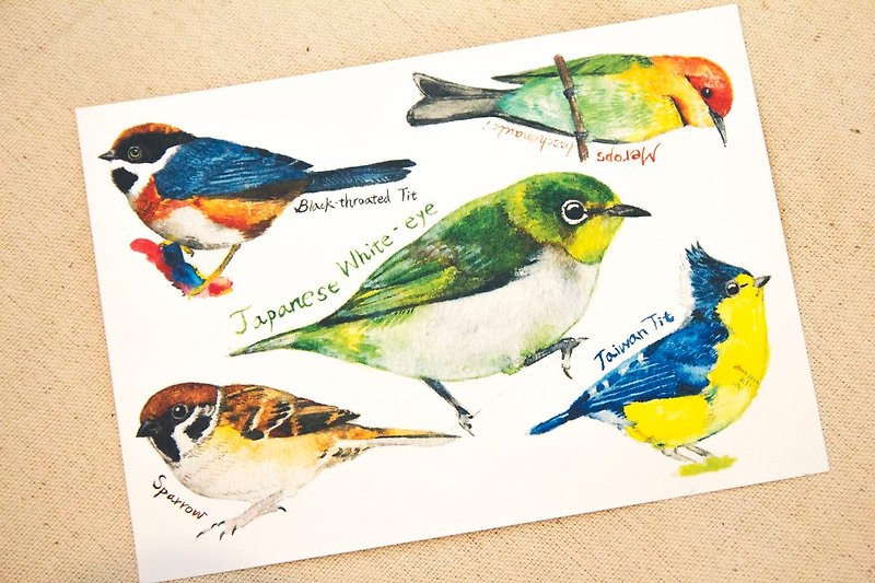 手描きの水彩画のポストカード鳥 - カード・はがき - 紙 