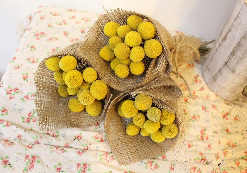 Flover芙拉設計 「金仗小花束」乾燥花 單束 - 植栽/盆栽 - 植物．花 黃色