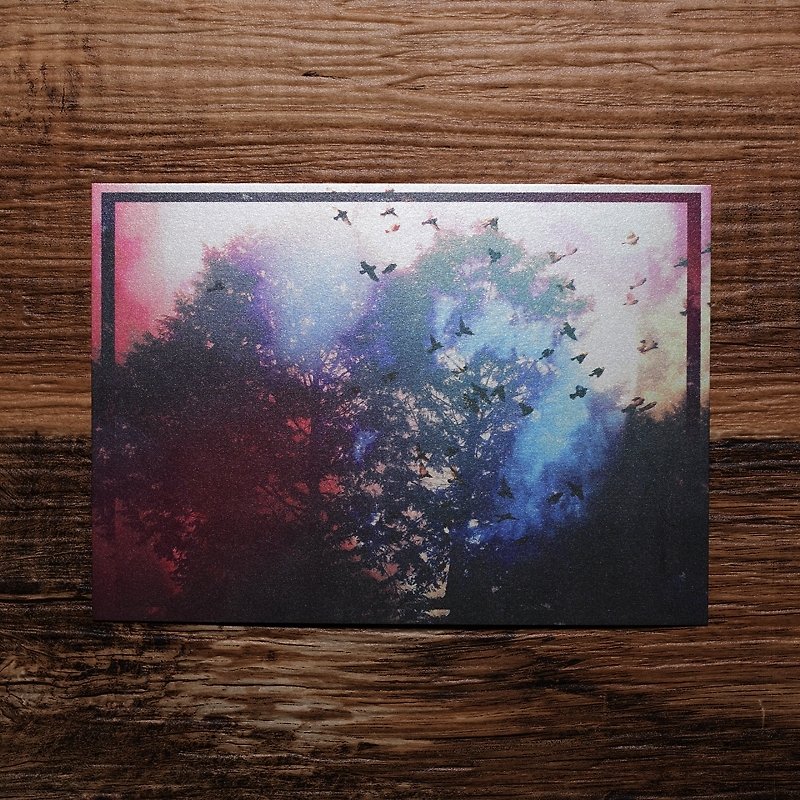 【Photo Postcard #03】Photo Postcard | TH1RT3ENDREAMS - Photography Collections - Paper Multicolor