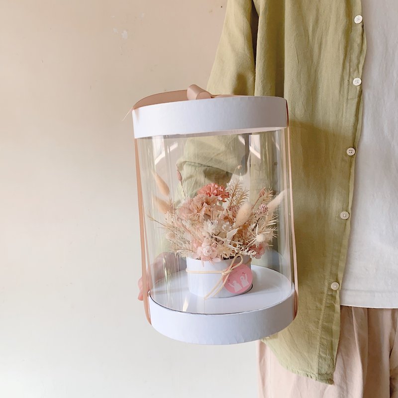 母親節 康乃馨永生花透明花盒組 - 植栽/盆栽 - 植物．花 粉紅色